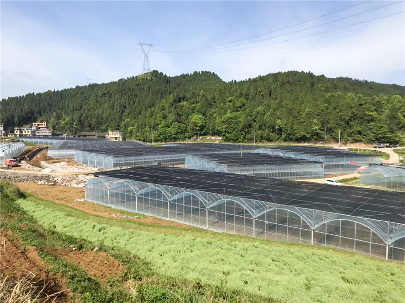 無土栽培，無土栽培技術，無土栽培設備