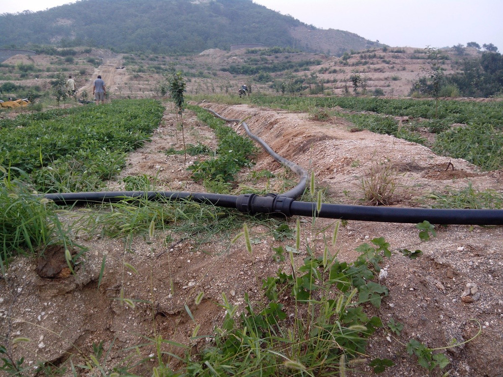 無土栽培，無土栽培技術，無土栽培設備